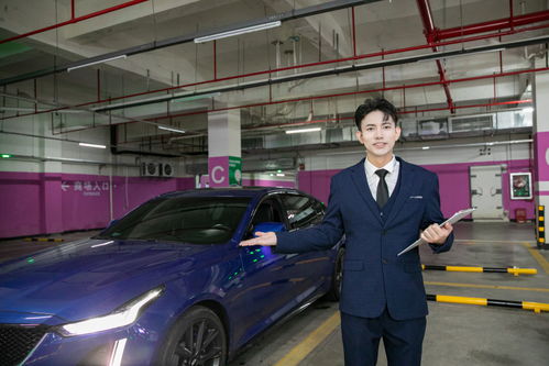 商務(wù)車豪車汽車銷售汽車顧問(wèn)車險(xiǎn)人物攝影圖 攝影