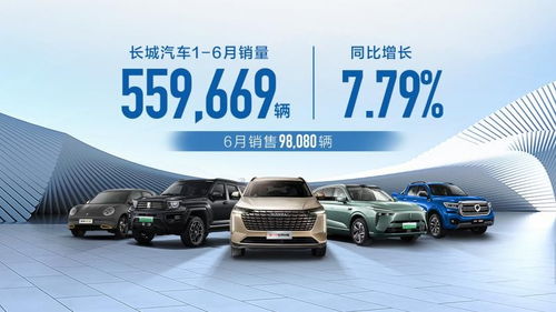 長城汽車產品價值再提升,1 6月銷量創新高
