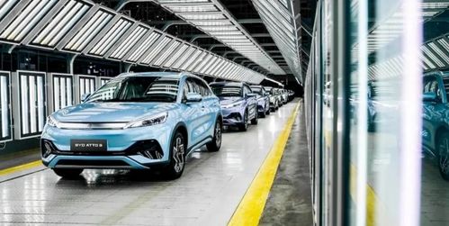 汽車行業(yè)年度觀察丨新能源汽車百花齊放 產銷量再創(chuàng)新高