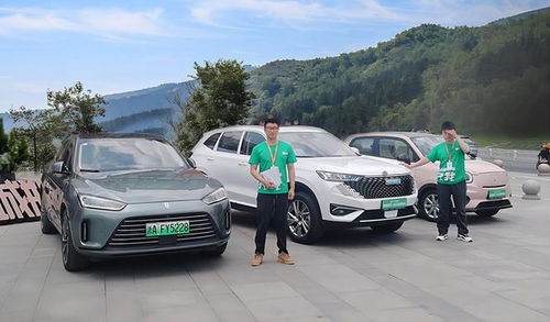 安步汽車集團(tuán) 傳統(tǒng)汽車銷售模式陷入生存疑云,如何面對